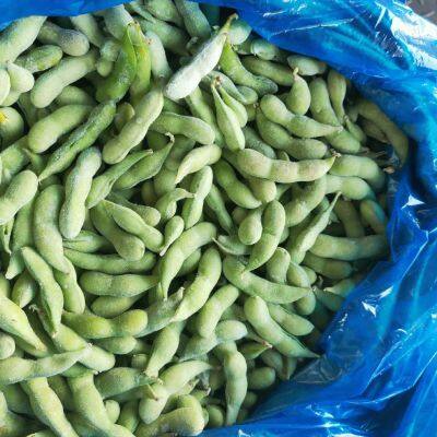 Brc Approved Fresh Organic Frozen Edamame Supplier IQF Whole Soybeans in China photo-2