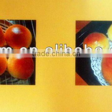 2013 Hot Selling Automatic Bread Rubbing Rounder Machine