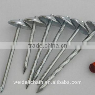 3''x9bwg twisted shank roofing nails/umbrella roofing nails