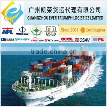 cheap FCL&LCL sea freight from China to India Chennai