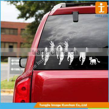 Custom Sticker for Car