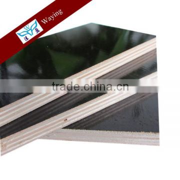 13-Ply Boards Plywood Type