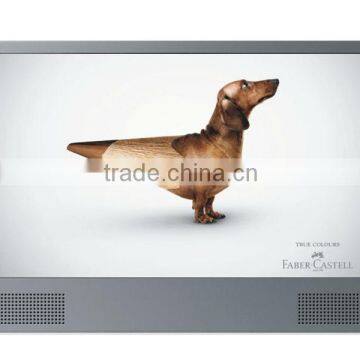 Retail store 22 inch advertising player with metal case