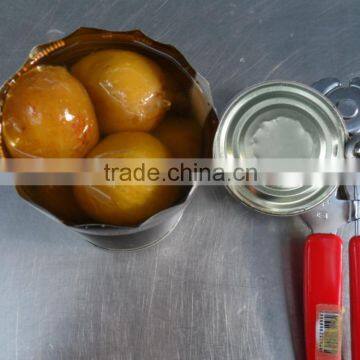 Canned Fig With Syrup photo-5