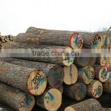 Red Oak Veneer Logs