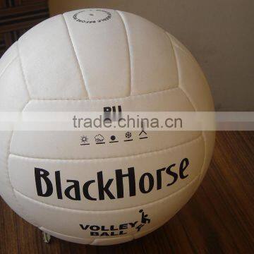 Volley Ball