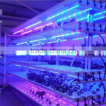 300 Leds/m Plant Grow LED Light Strip DC12/24V