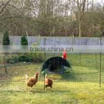 Factory chicken plastic net/hencoop plastic net