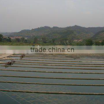 Spirulina Dietary Tablet Natural Supplement photo-2