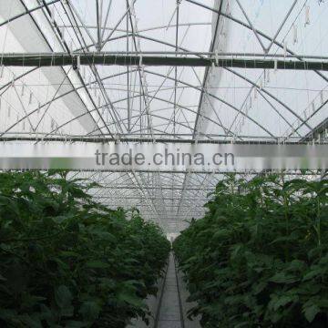 Smart Hydroponic Technologies for Industrial Greenhouses and Soilless Production photo-2