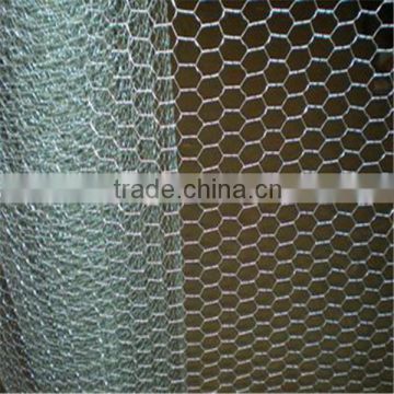 Gabion Mesh/Hexagonal Wire Mesh/Gabion Box