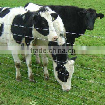 high quality cattle fence in 2014