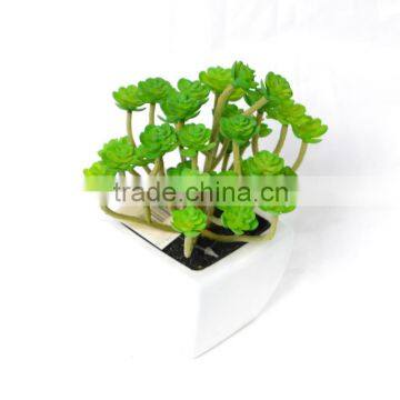 15cm Artificial Succulent in Green in Ceramic Pot