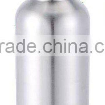 Stainless Steel Sport Bottle