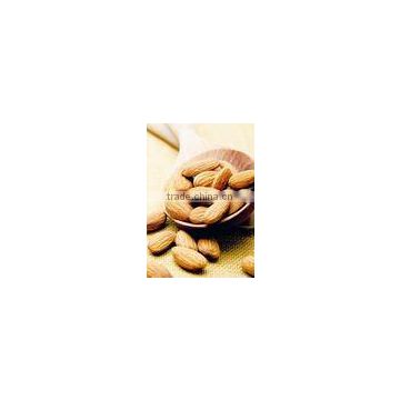 2010 new grop almonds from china