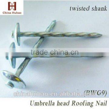 galvanized umbrella head coil roofing nail roofing