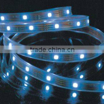 2012 Super brightness 5050SMD waterproof strip hot led