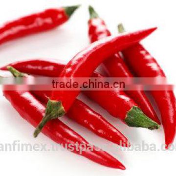 HOT RED CHILLI VIETNAM