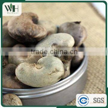 2016 Crop Dried Cashew in Shell photo-4