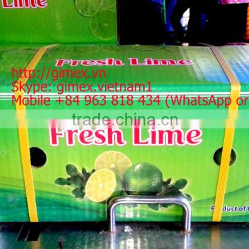 FRESH SEEDLESS LIME