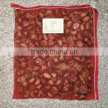 chinese chestnut