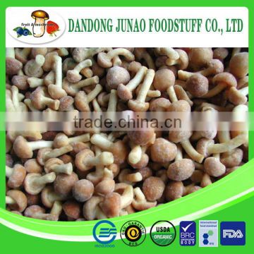 frozen bulk nameko mushroom