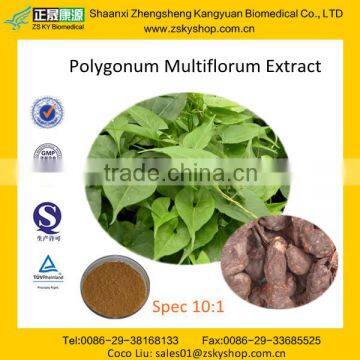 GMP Manufacture supply 100% Natural He Shou Wu Extract Powder/Fo-ti Extract