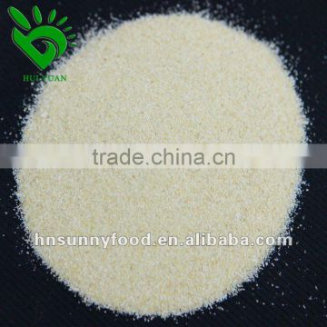 SALE Onion Powder Dried Vegetable Powder