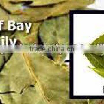 Bay Leaf Oil