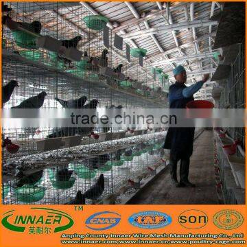 High quality pigeon cage (automatic drinking water system)