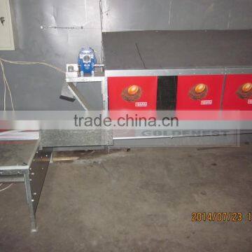 new design automatic egg collecting system