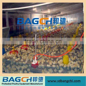 New Design Popular Automatic Chicken Farming Machine Equipment