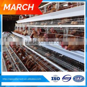 used poultry chicken layer cage sale for chicken coop