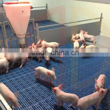 Hog slats floor farrowing crate swine plastic floor