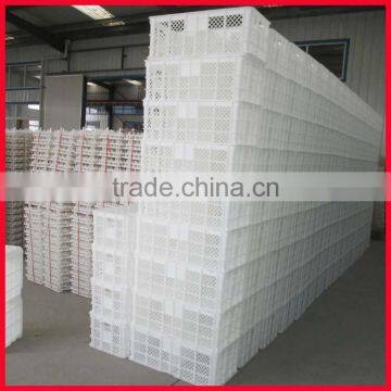 pure pp chicken egg crate for chicken farm