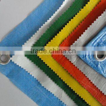 sample of tarpaulin design/pe tarpaulin sheet