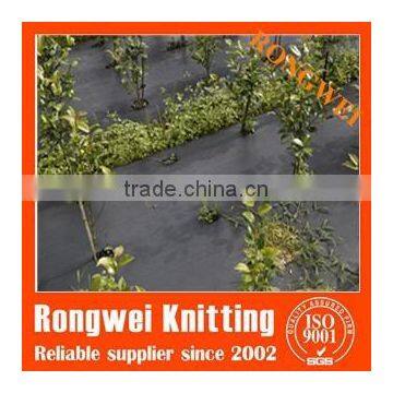 Agriculture PE / PP Woven Ground Cover Fabric In Roll 60-180gsm