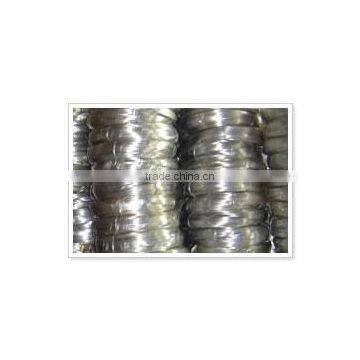 8#---32# Electro Galvanzied iron wire (factory and exporter)