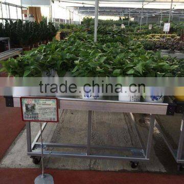 qingdao flower display bed / garden bed