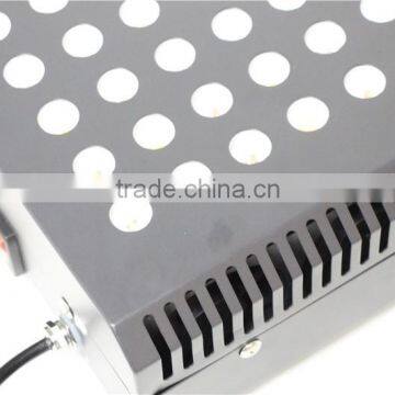 Full Spectrum Two Switches Waterproof Indoor Grow Light photo-6
