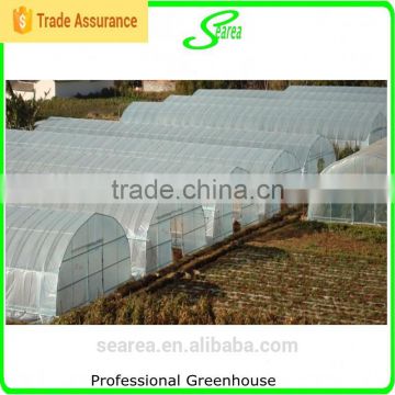 agriculture poly tunnel greenhouse for sale