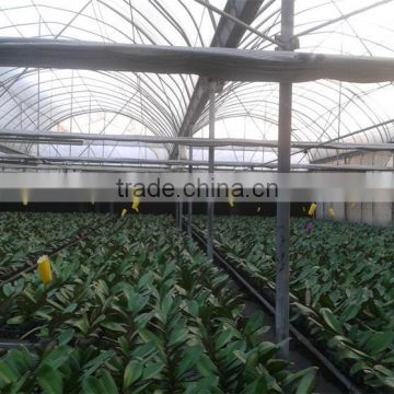 Factory price green houses agriculture