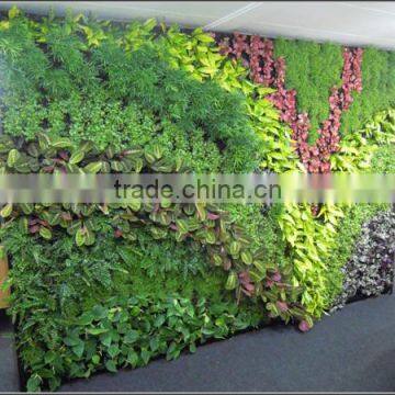 Artificial Green Wall Plant Wall photo-3