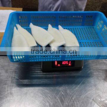 Frozen Pacific Squid Tube photo-5