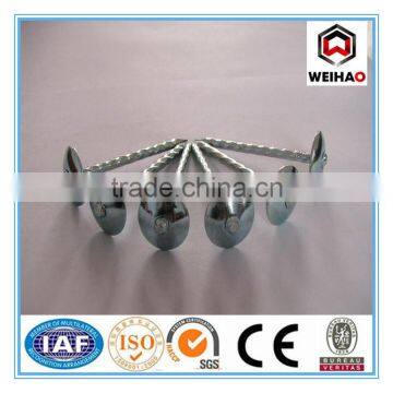 cheaper price roofing nails(suppliers in China)