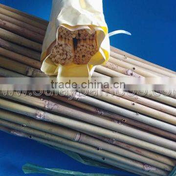 Cheap Bamboo Trellis Assemble by Yourself for Economical Shipping Cost photo-2