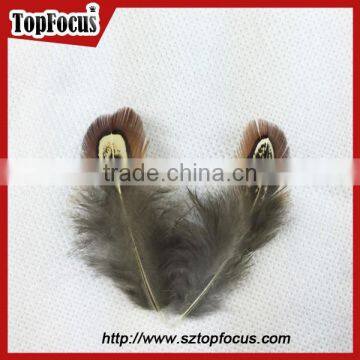 Lower Price Natural Synthetic Pheasant Feathers for Carnival Costumes