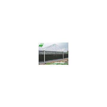 Saw Tooth Greenhouse