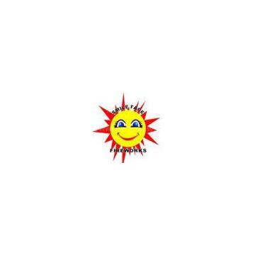 Liuyang Happiness fireworks firing system factroy