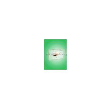 Basic Comformation of Insect